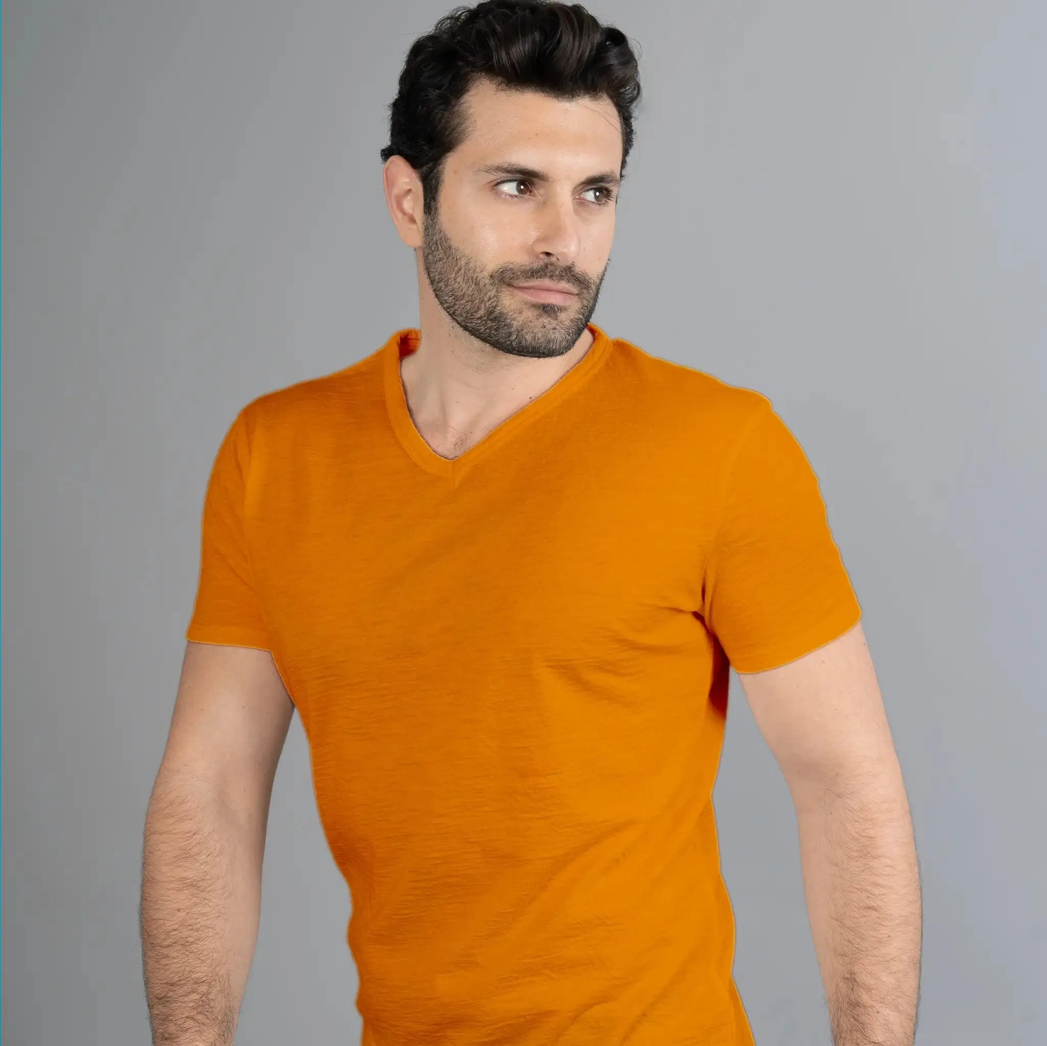 9 Pack - Men's Alpaca Wool V-Neck T-Shirts: 160 Ultralight