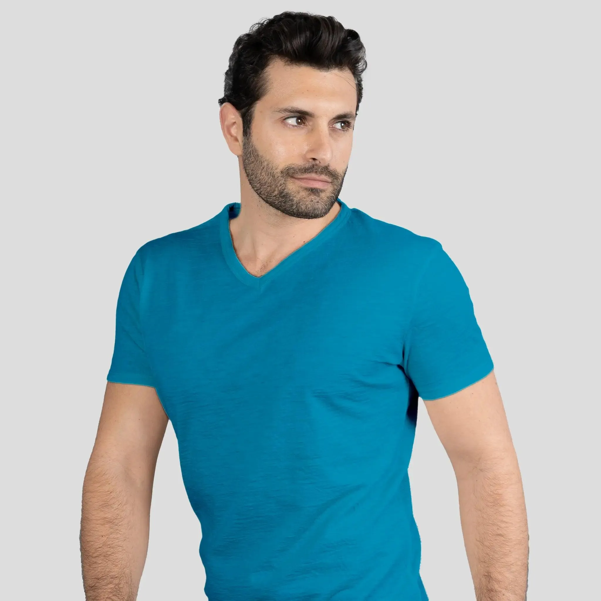 9 Pack - Men's Alpaca Wool V-Neck T-Shirts: 160 Ultralight