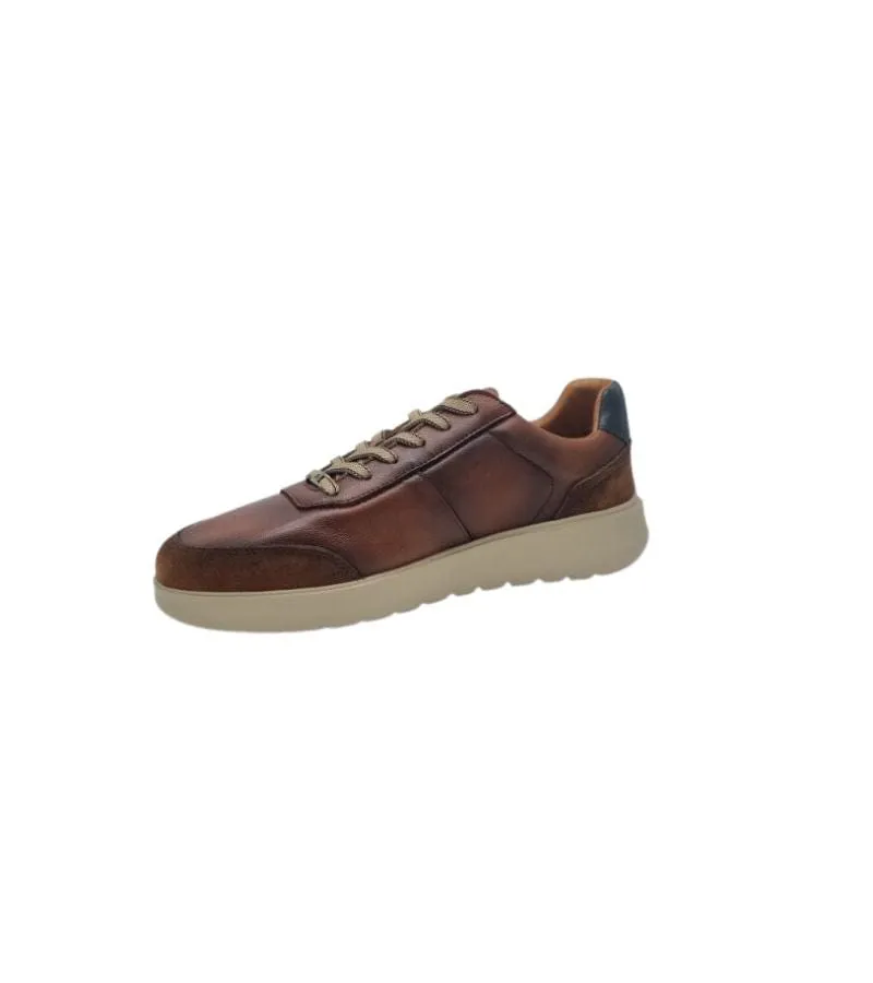 Ambitious Mens Premium Brown Leather Fashion Trainer 12981B-11172AM