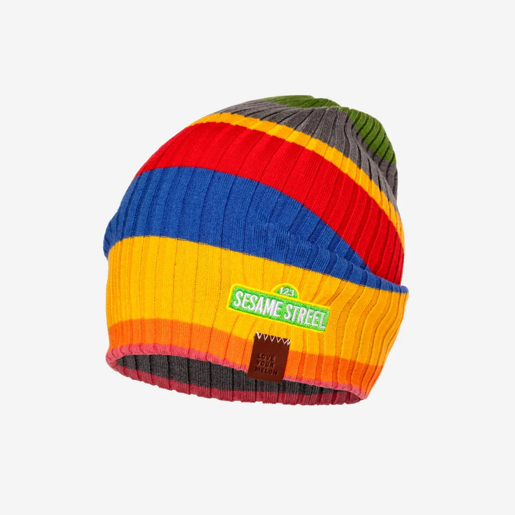 Sesame Street Toddler Lightweight Beanie